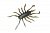 Силиконовые приманки Jackall RV-Bug 1,5"