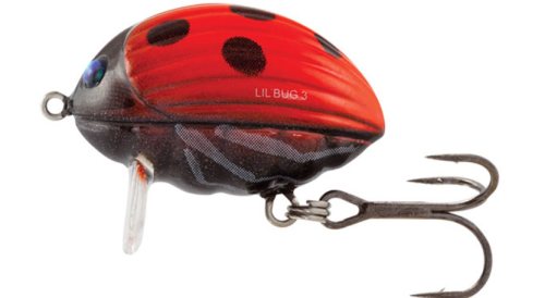 Воблер Salmo Lil Bug F 03, 30мм, 4,3гр -LB (1051)